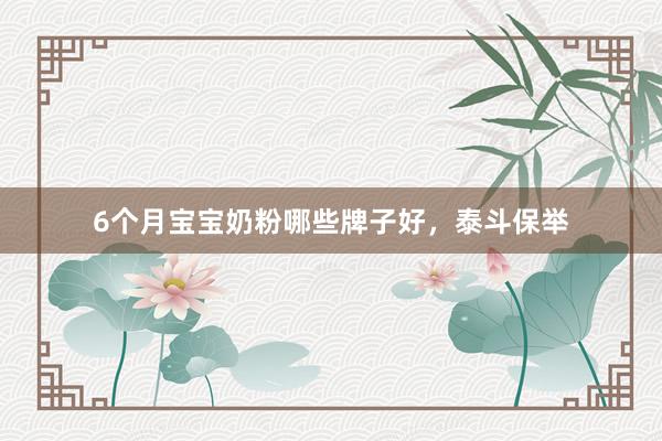 6个月宝宝奶粉哪些牌子好，泰斗保举